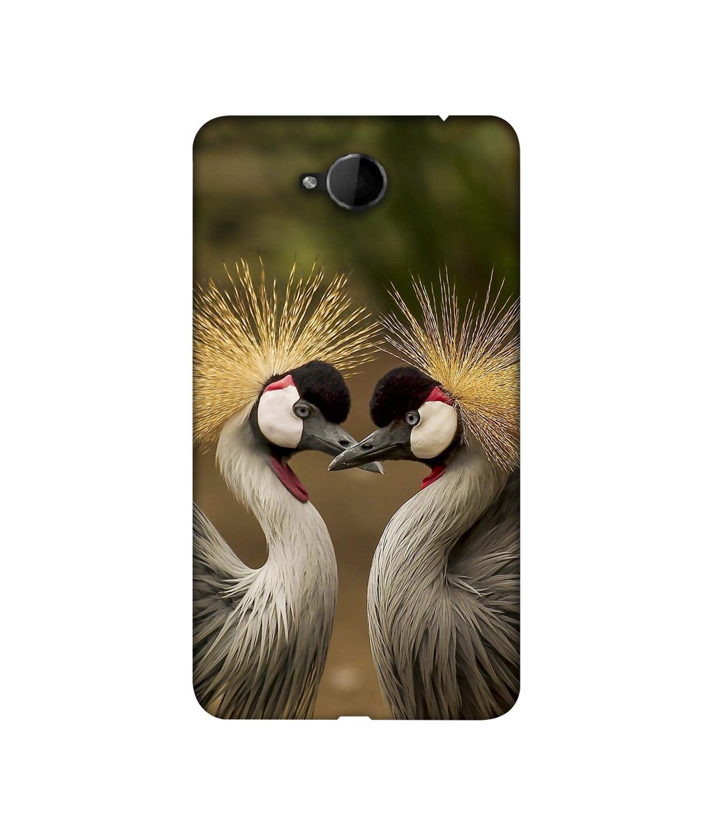 Amazon Brand - Solimo Designer Birds 3D Printed Hard Back Case Mobile Cover for Microsoft Lumia 650