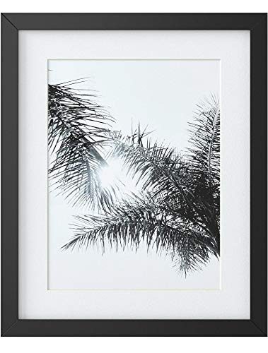 Amazon Brand – Stone & Beam Modern Black and White Tropical Palm Branches Photo Wall Art Decor - 18 x 22 Inch Frame, Black