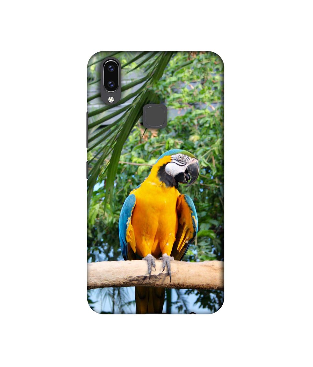 Amazon Brand - Solimo Designer Macaw Bird 3D Printed Hard Back Case Mobile Cover for Vivo V9 / V9 Pro