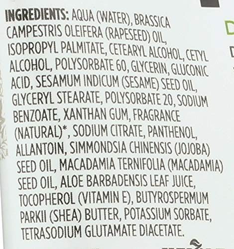 365 Everyday Value, Body Lotion, Maximum Moisture, 6 fl oz
