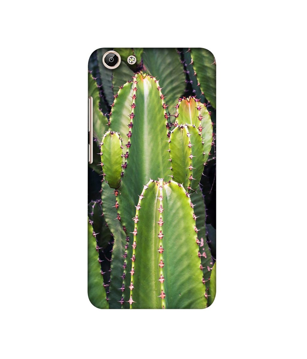 Amazon Brand - Solimo Designer Desert Plant 3D Printed Hard Back Case Mobile Cover for Vivo Y69