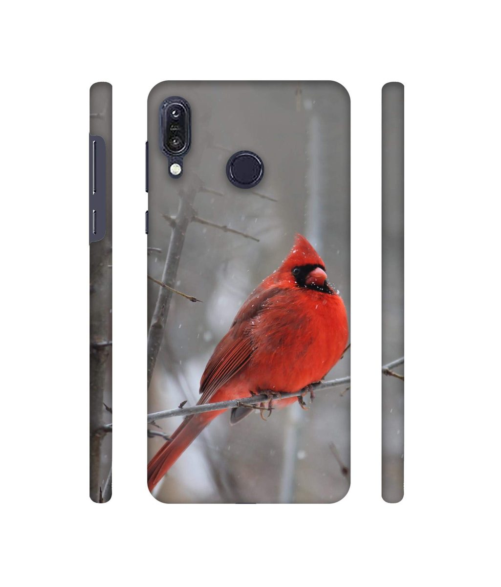 Amazon Brand - Solimo Designer Red Engry Bird 3D Printed Hard Back Case Mobile Cover for Asus Zenfone Max M1 ZB555KL