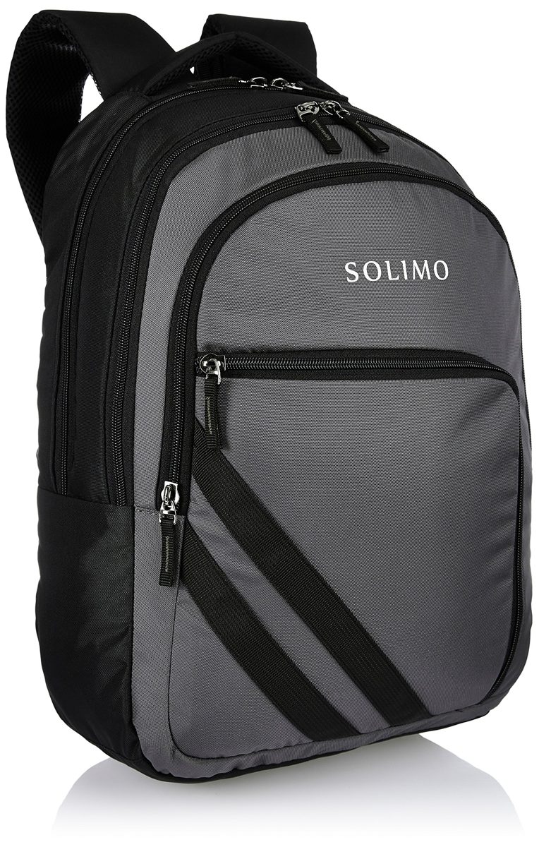 Amazon Brand - Solimo Travel Backpack (29 litres, Metallic Grey & Coal Black)