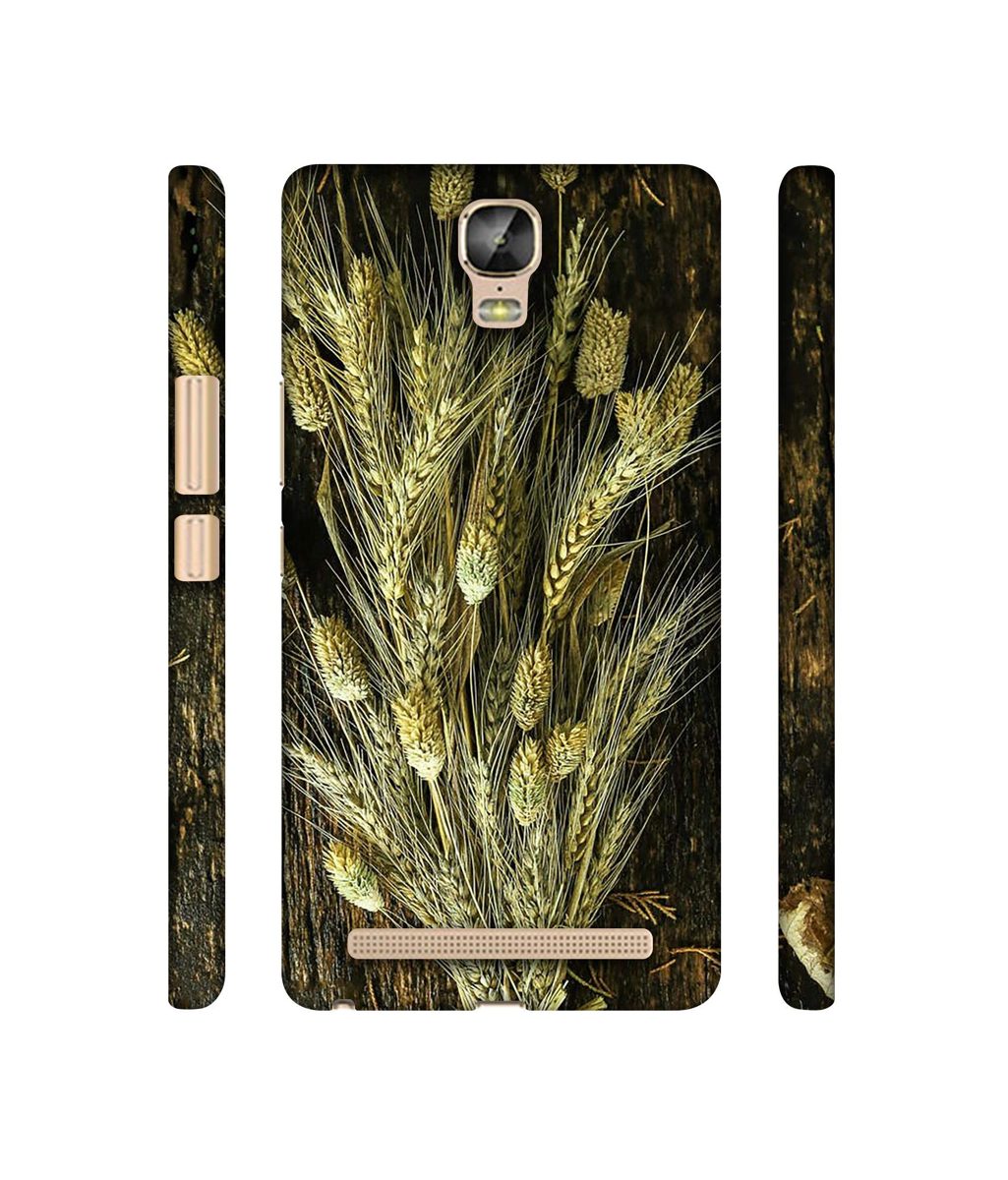 Amazon Brand - Solimo Designer Wheat Plants 3D Printed Hard Back Case Mobile Cover for Gionee Marathon M5 Plus
