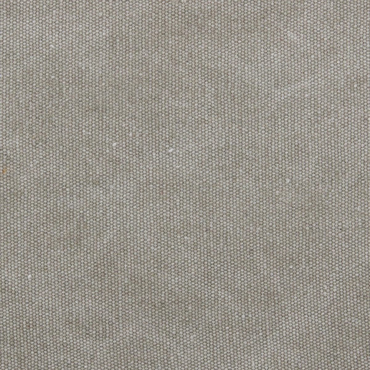 Amazon Brand – Stone & Beam Faraday Down-Filled Casual Loveseat, 75"W, Light Grey
