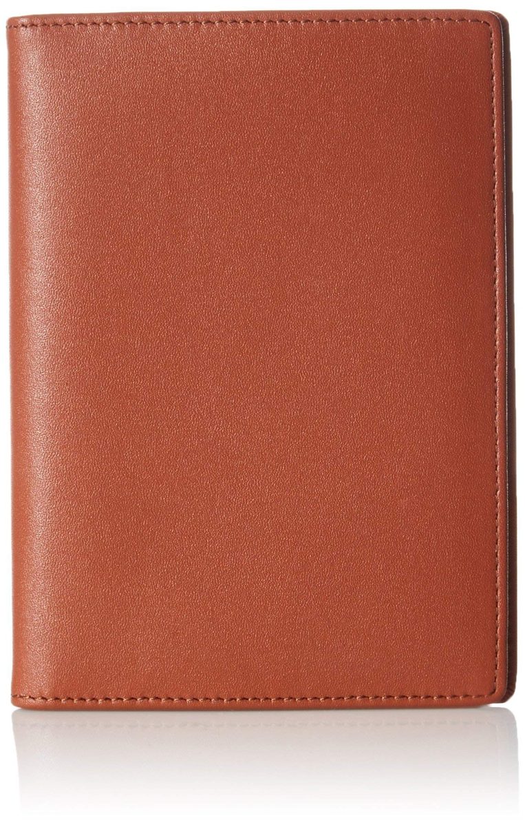 (Renewed) AmazonBasics Leather RFID Blocking Passport Wallet, Brown