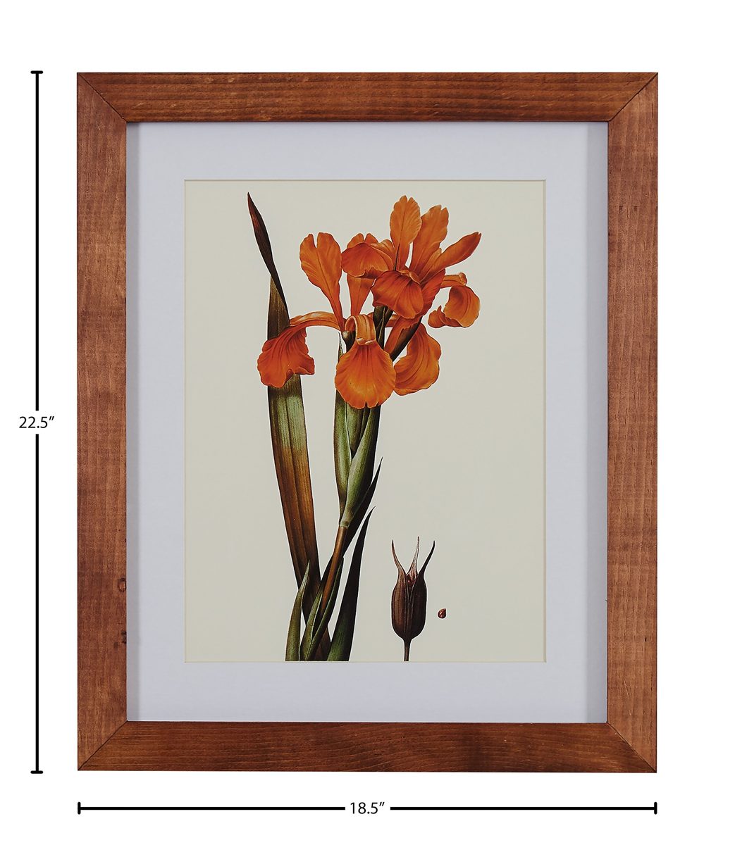 Amazon Brand – Stone & Beam Modern Orange Floral Print Wall Art, Weathered Brown Frame, 18.5" x 22.5"