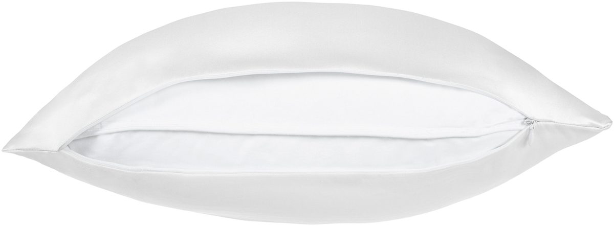 AmazonBasics Pinzon Mulberry Silk and Cotton Reversible Cushion Cover, 80x80cm
