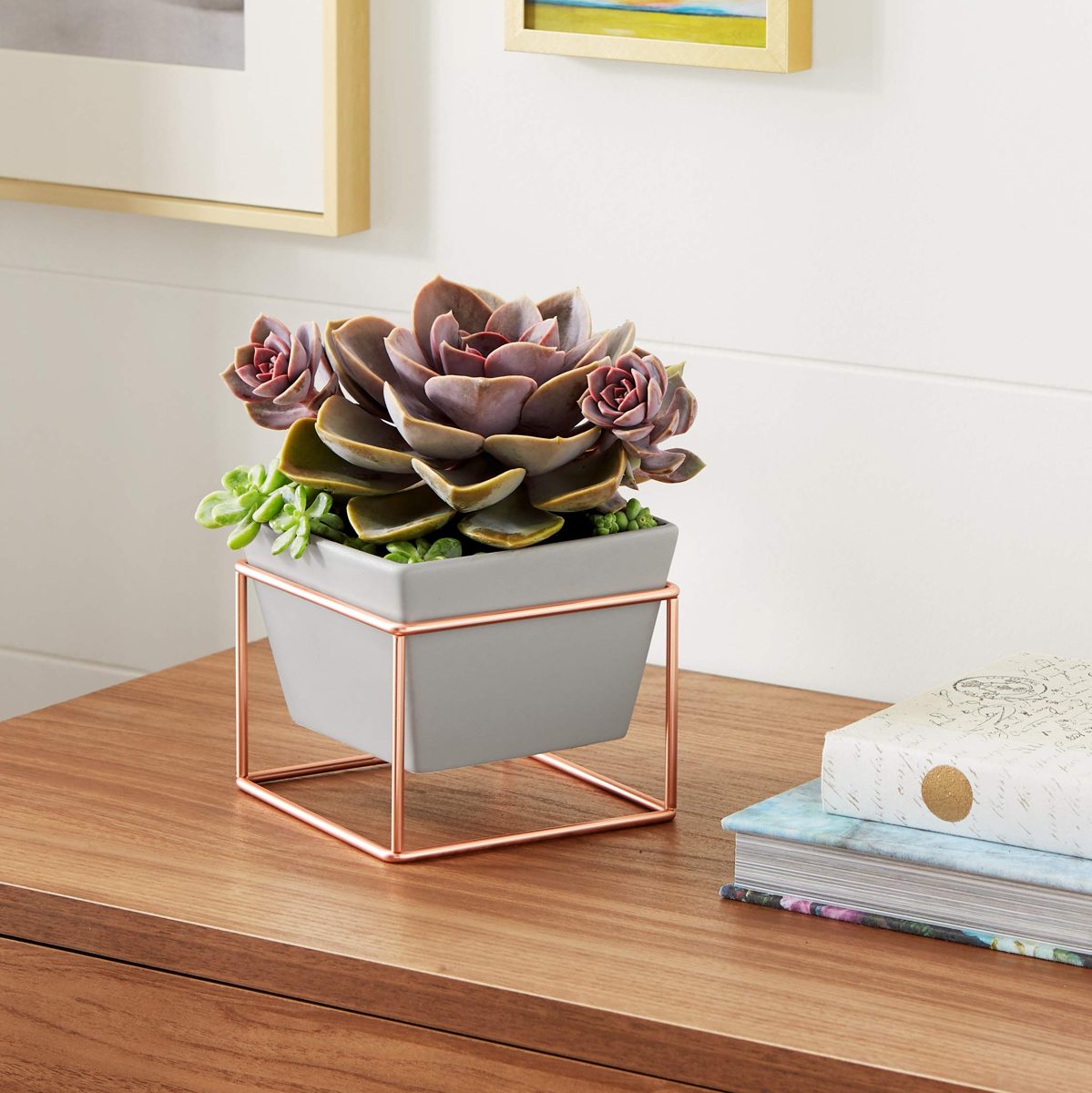 AmazonBasics Tabletop Planter, Square - Grey/Copper