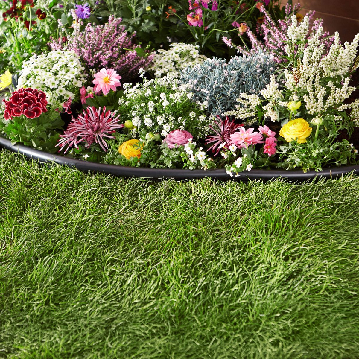 AmazonBasics Landscape Edging Kit