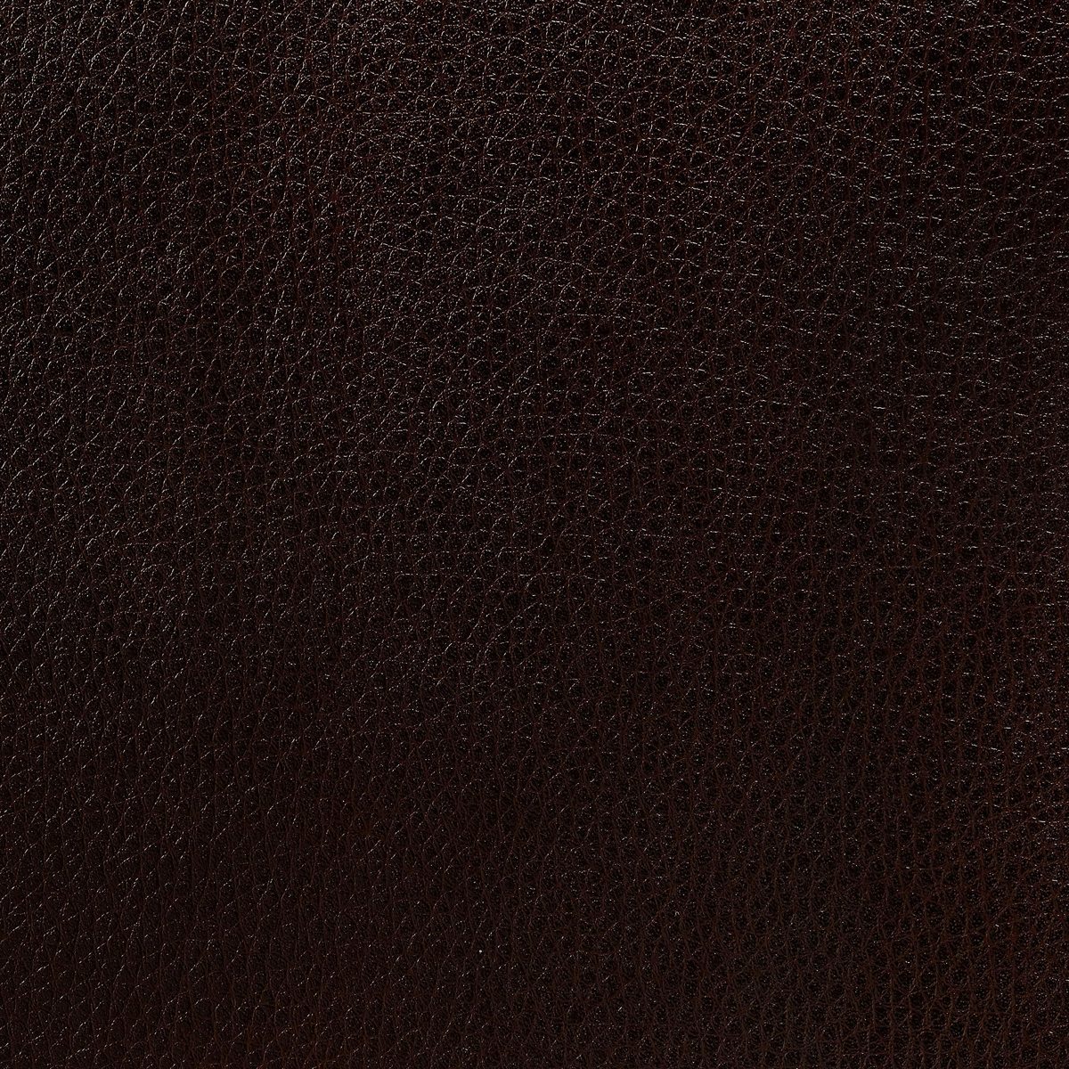 Chocolate Swatch, Ravenna Home