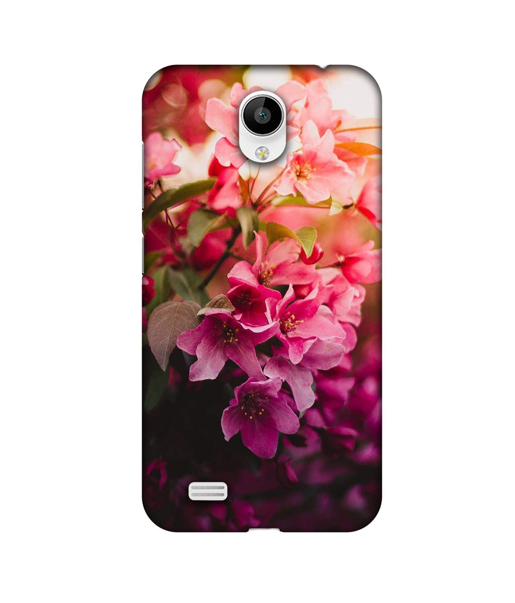 Amazon Brand - Solimo Designer Blossom Weather 3D Printed Hard Back Case Mobile Cover for Vivo Y21L