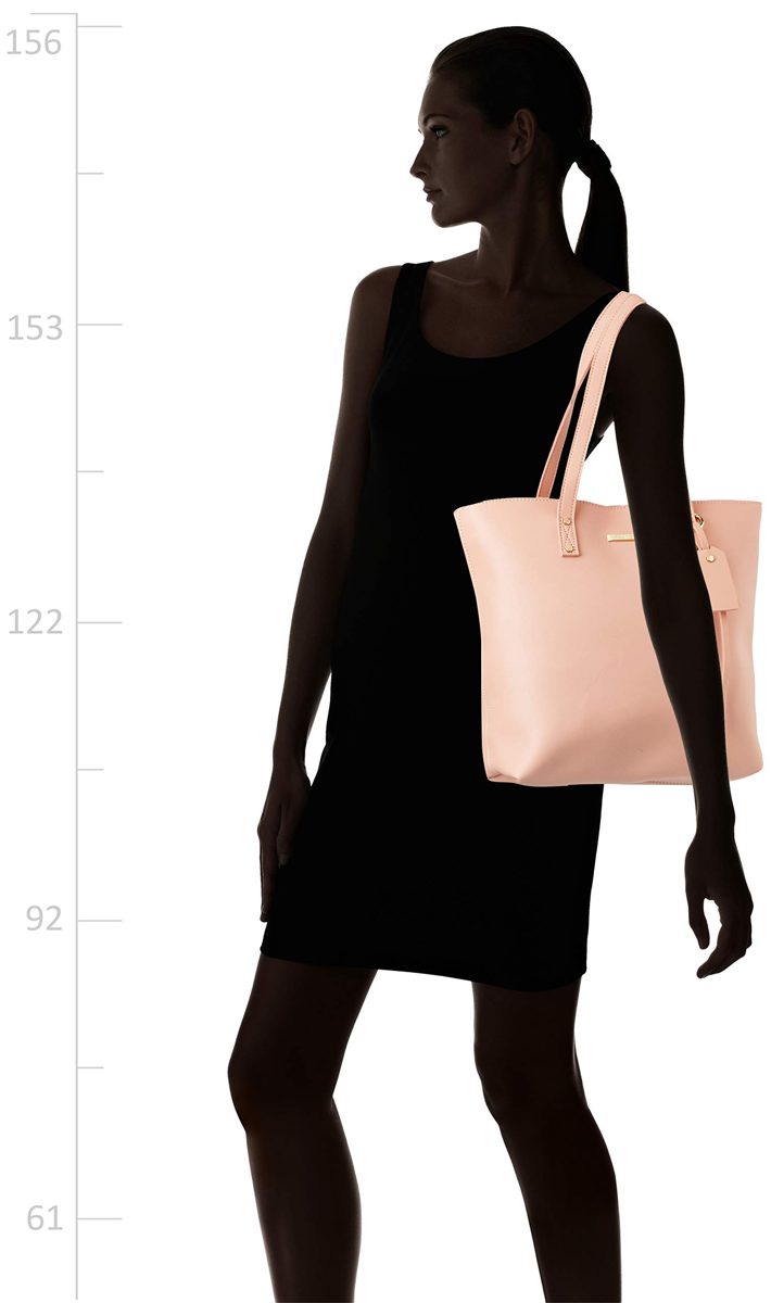 Flavia Women's Handbag (Lt Pink)