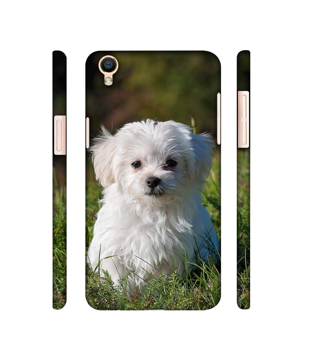 Amazon Brand - Solimo Designer White Dog 3D Printed Hard Back Case Mobile Cover for Oppo F1 Plus