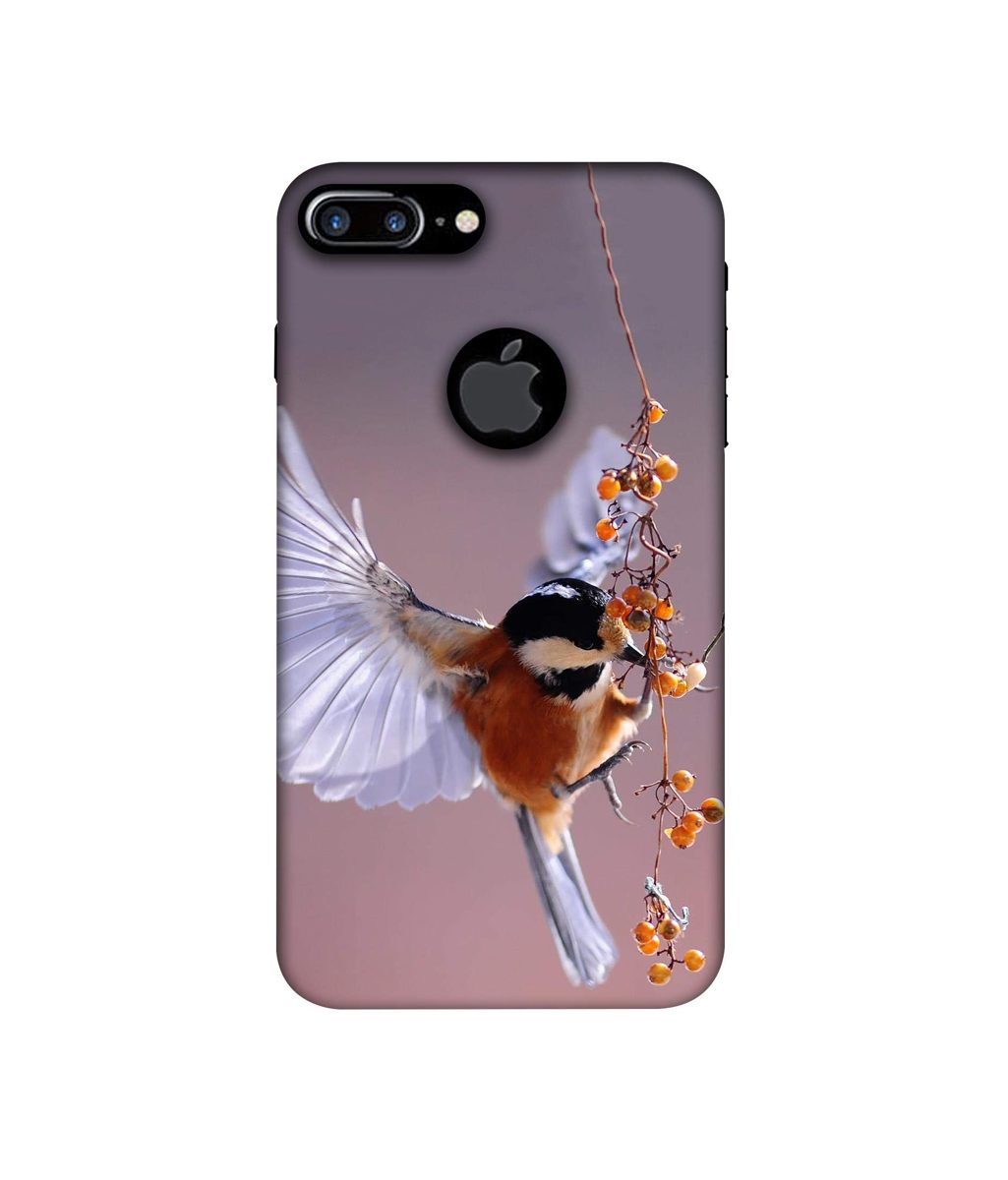 Amazon Brand - Solimo Designer Bird 3D Printed Hard Back Case Mobile Cover for Apple iPhone 7 Plus (Logo Cut)