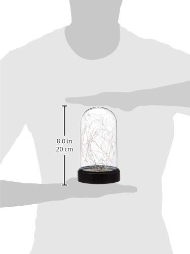 Amazon Brand - Solimo Glass Jar Light for Home Décor, Battery Powered, Warm White