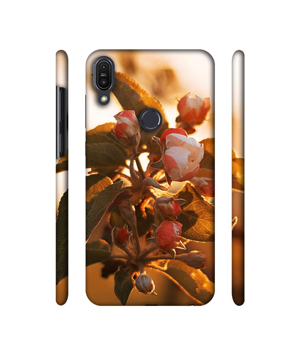 Amazon Brand - Solimo Designer Flowers 3D Printed Hard Back Case Mobile Cover for Asus Zenfone Max Pro M1 ZB601KL