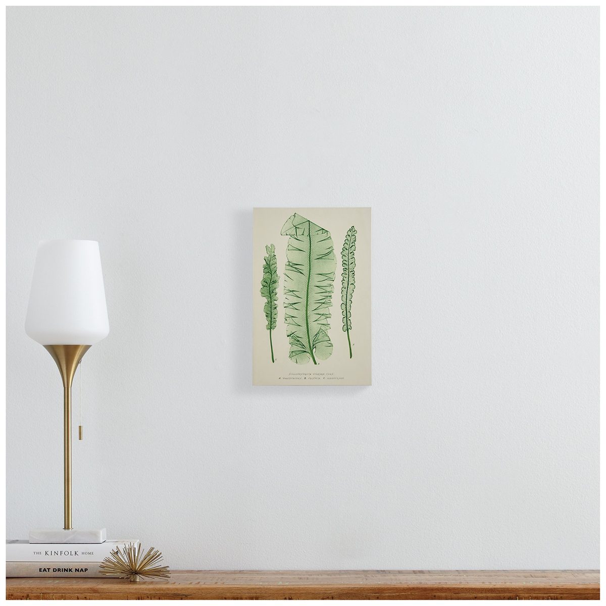 Amazon Brand – Stone & Beam Modern Green on White Botanical Canvas Print Wall Art, 10" x 15"