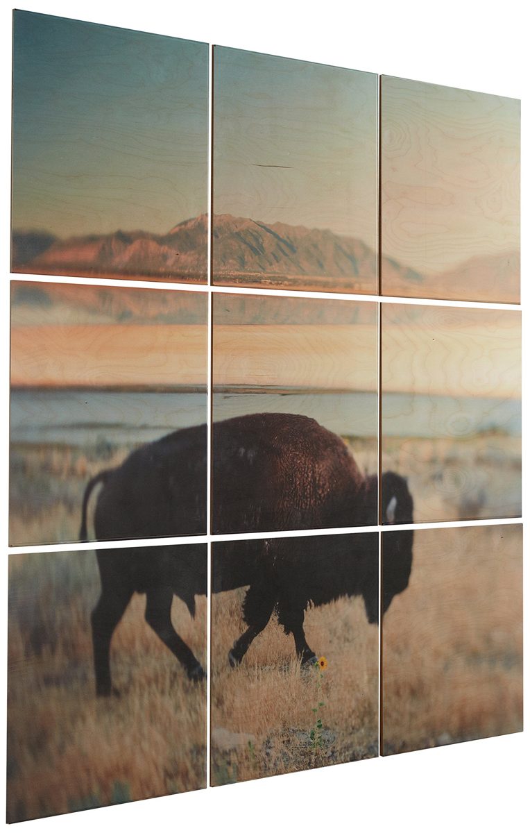 Amazon Brand – Rivet 9-Piece Southwest Bison Desert Mural Wall Art on Wood, 48" x 48"
