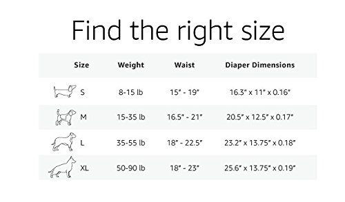 AmazonBasics Dog Diaper