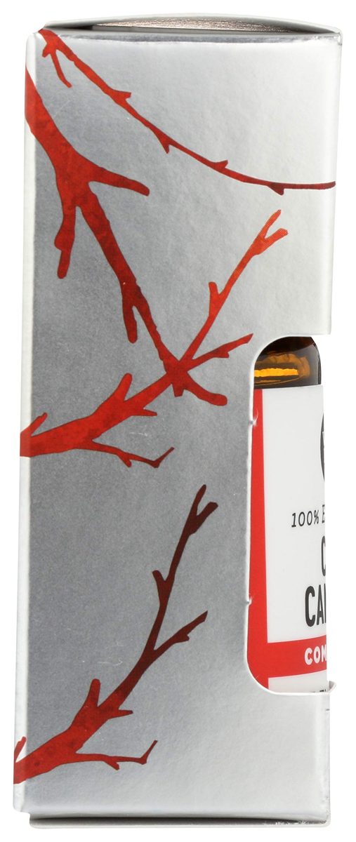 Whole Foods Market, Essential Oil, Cozy Campfire, 0.5 fl oz