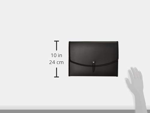 Amazon Brand - Solimo Expanding File Folder, Letter Size (Fits A4 Paper), Black, with 12 pockets