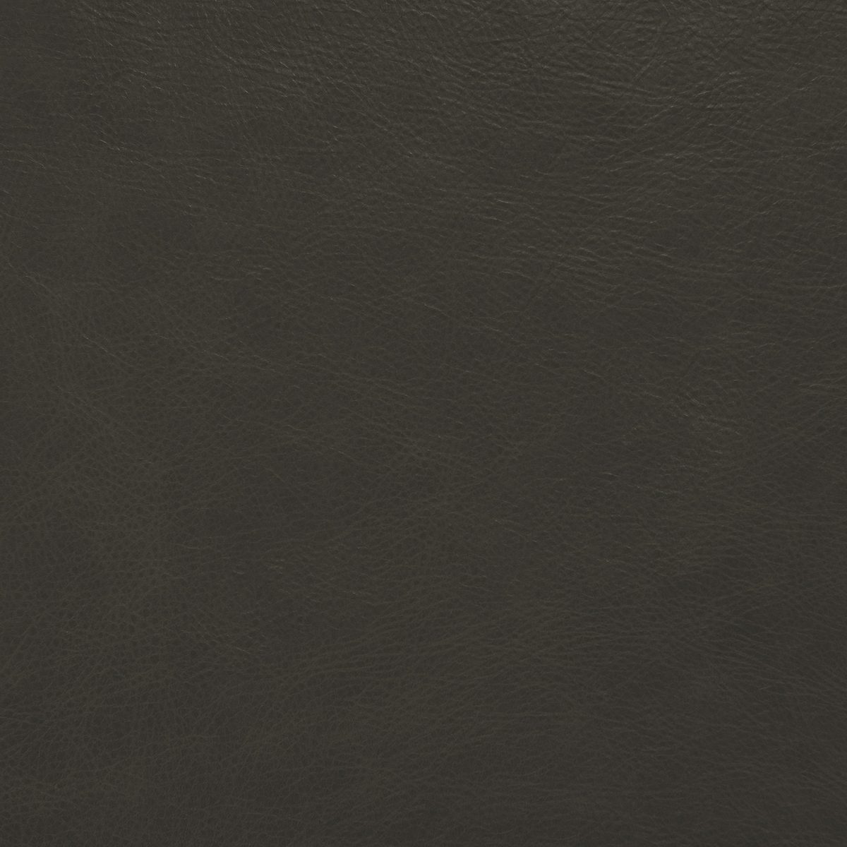 Amazon Brand – Rivet Parks Mid-Century Modern Wingback Leather Accent Chair, 30.5"W, Aged Black