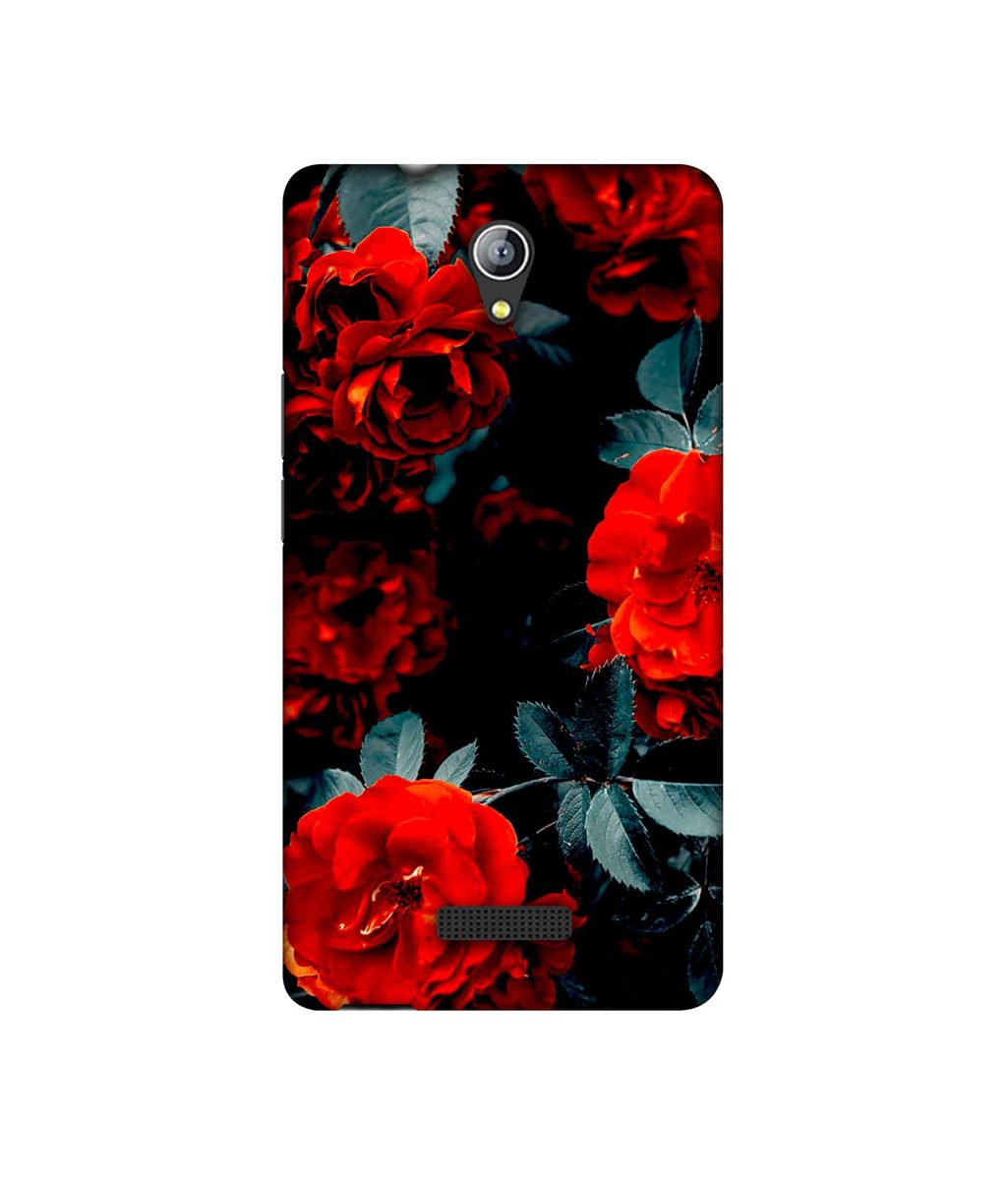 Amazon Brand - Solimo Designer Rose Photography 3D Printed Hard Back Case Mobile Cover for Micromax Canvas Pace 4G Q416