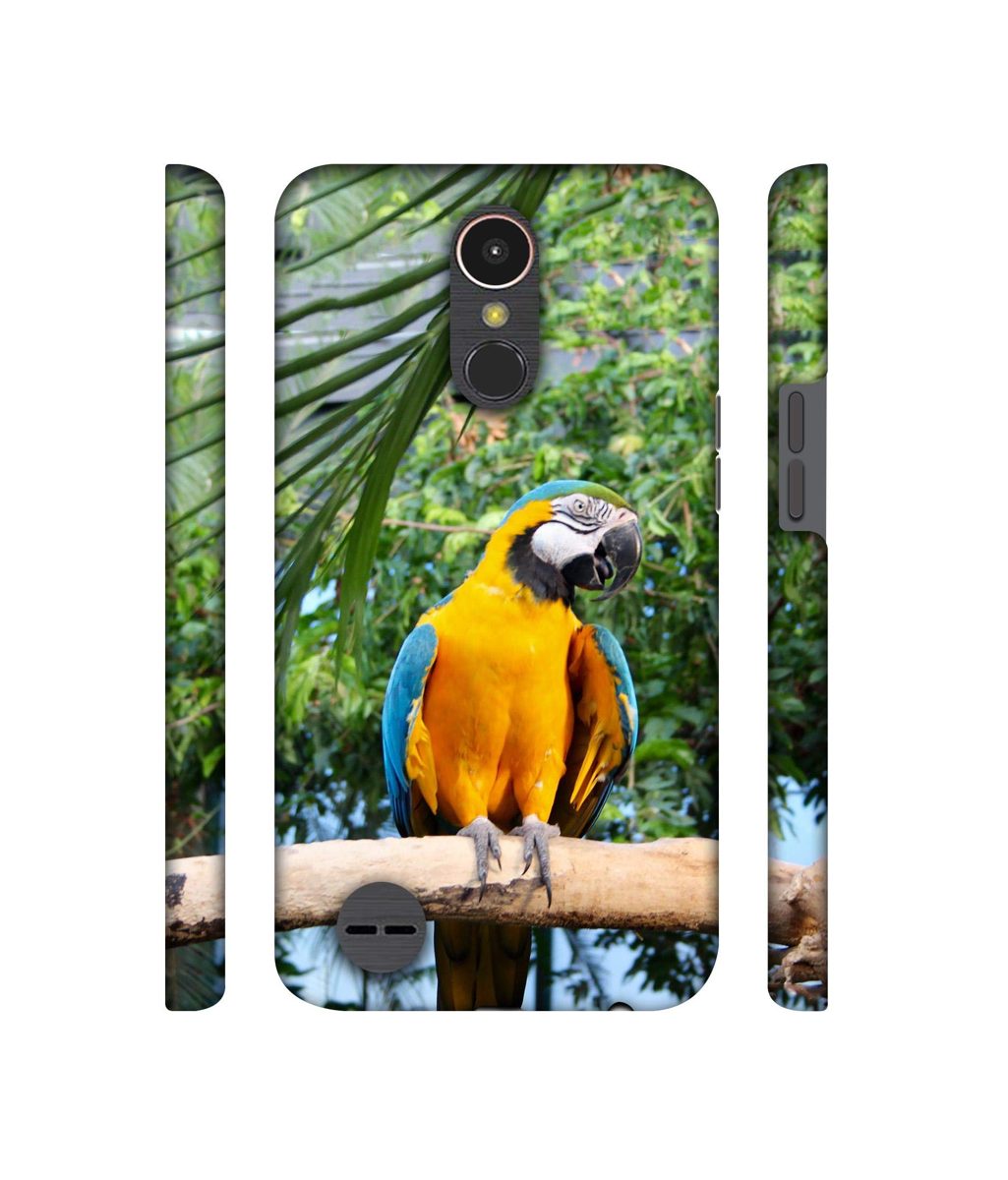 Amazon Brand - Solimo Designer Macaw Bird 3D Printed Hard Back Case Mobile Cover for LG K10 (2017)