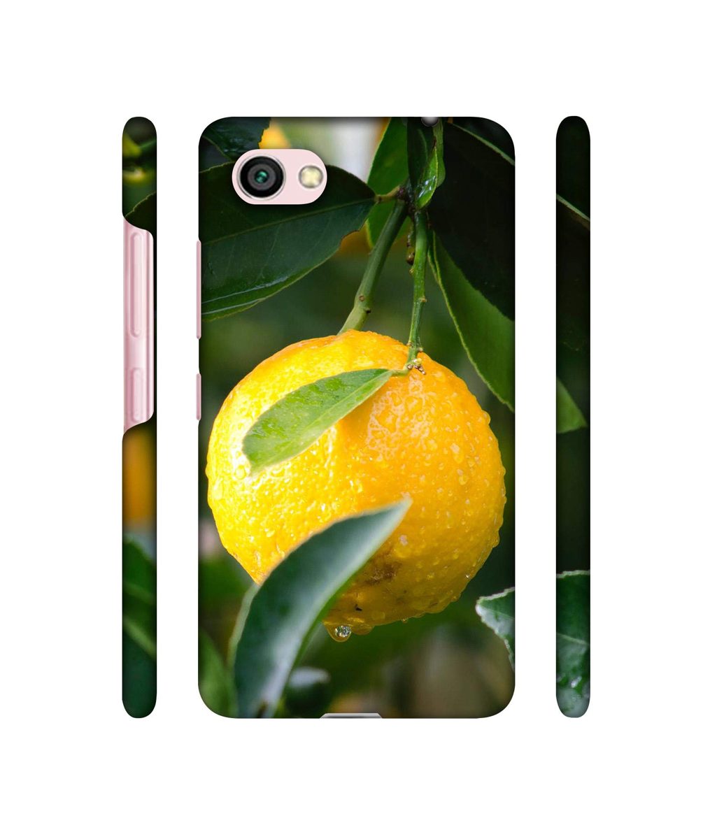 Amazon Brand - Solimo Designer Lemon 3D Printed Hard Back Case Mobile Cover for Xiaomi Redmi Y1 Lite