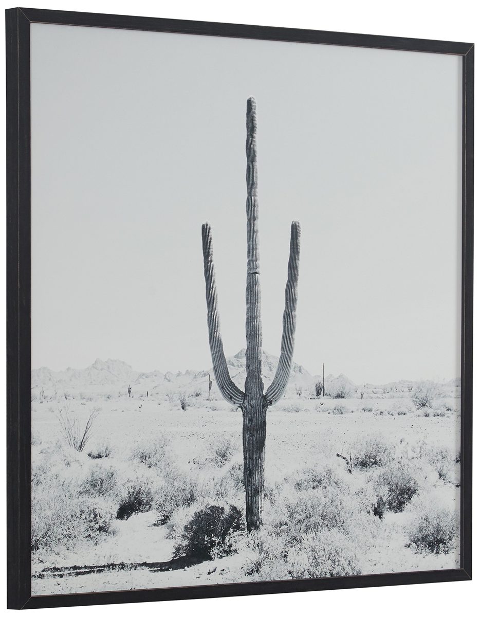 Modern Black and White Desert Cactus Photo Wall Art on Wood