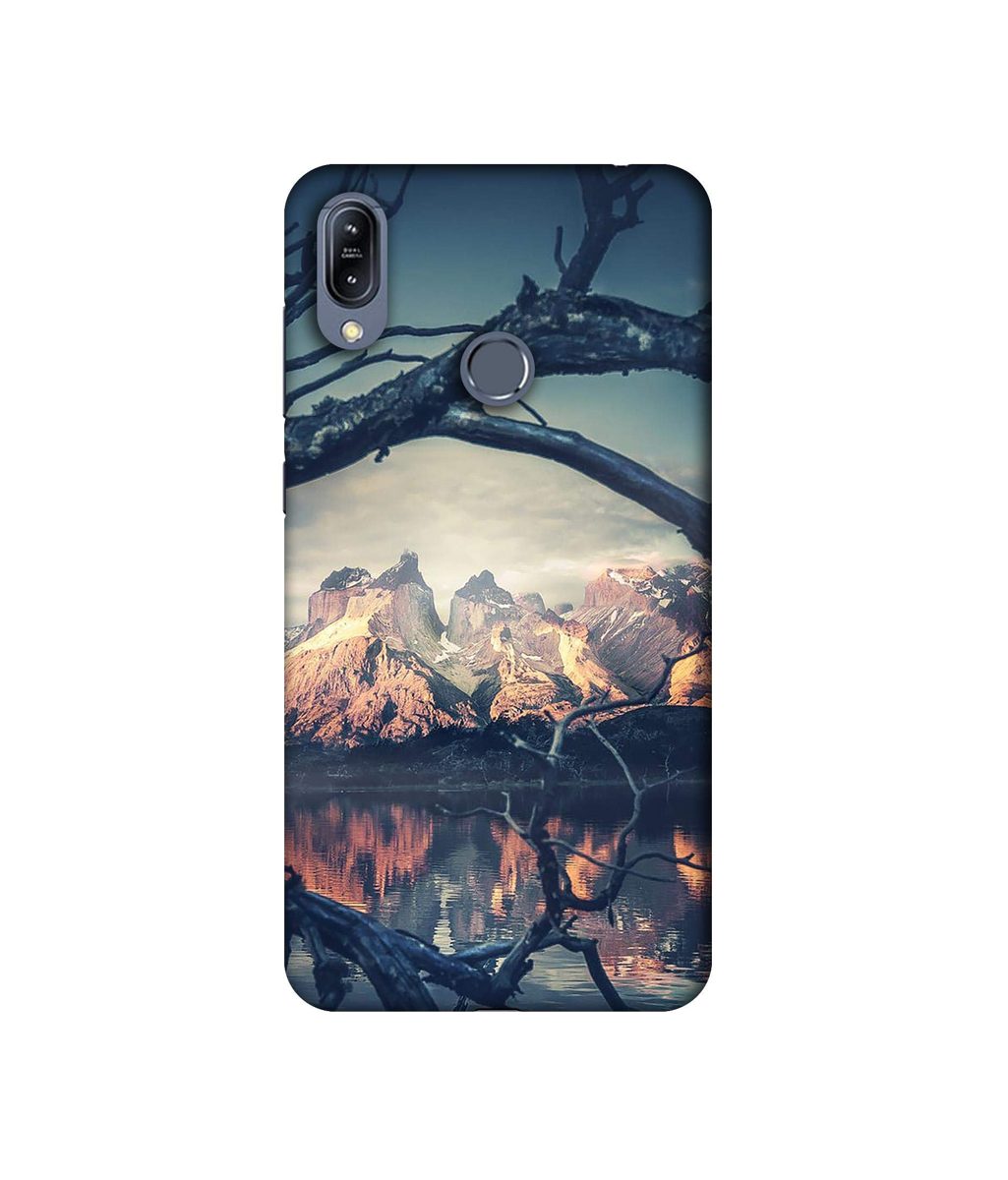Amazon Brand - Solimo Designer Tree Reflextion 3D Printed Hard Back Case Mobile Cover for Asus Zenfone Max (M2) ZB633KL