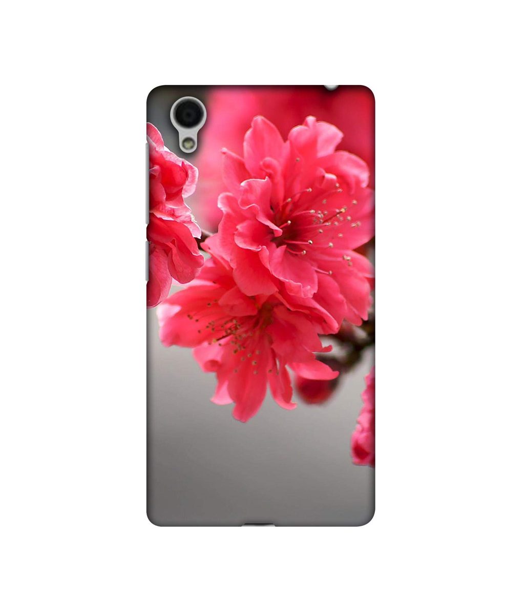Amazon Brand - Solimo Designer Blossom Like Flower 3D Printed Hard Back Case Mobile Cover for Vivo Y51L