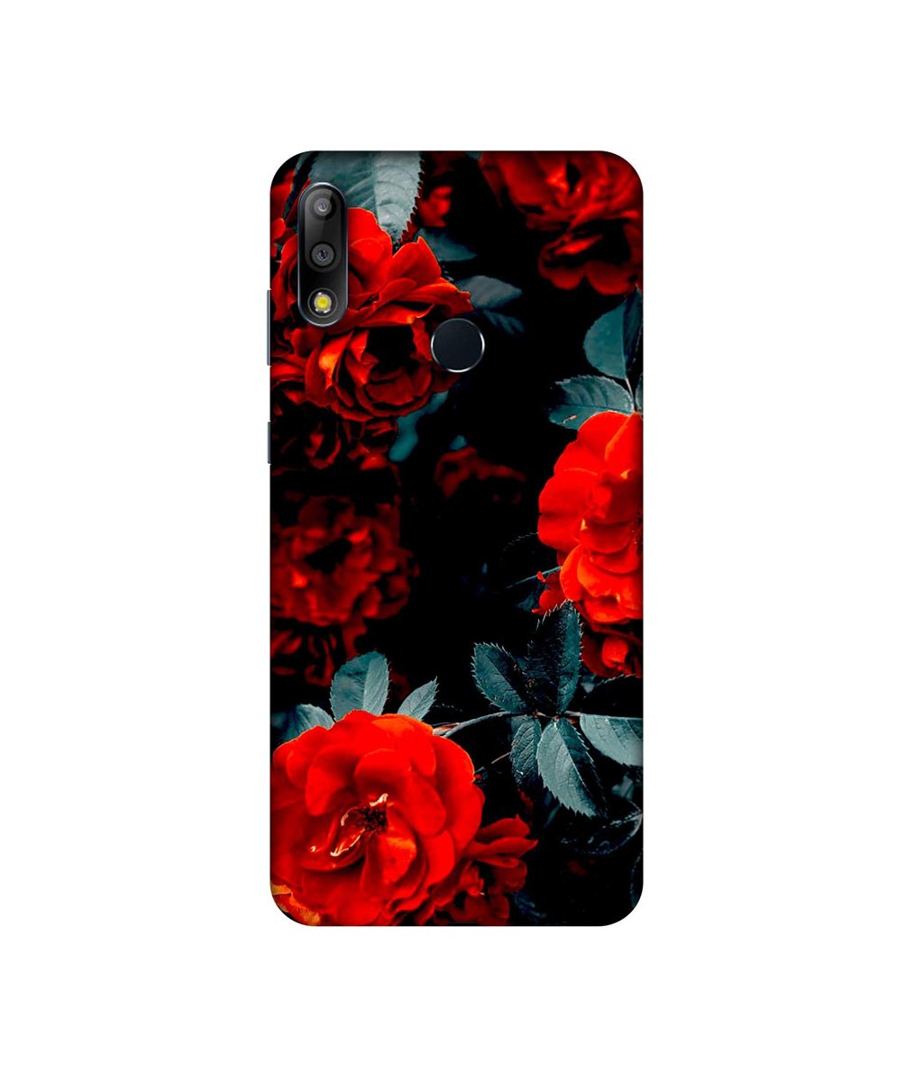 Amazon Brand - Solimo Designer Rose Photography 3D Printed Hard Back Case Mobile Cover for Asus ZenFone Max Pro M2