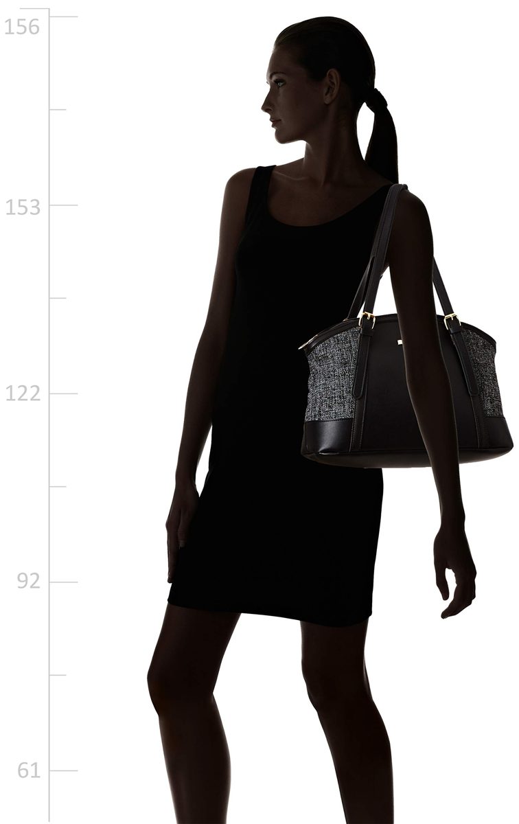 Flavia Women's Handbag (Black)