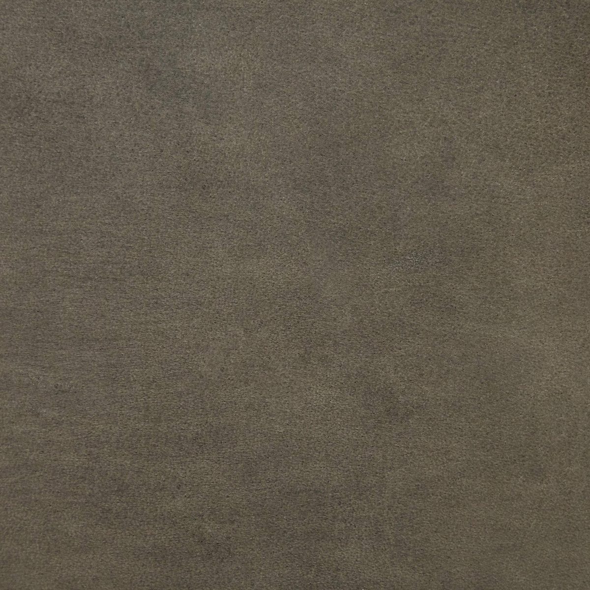 Brown Swatch, Ravenna Home