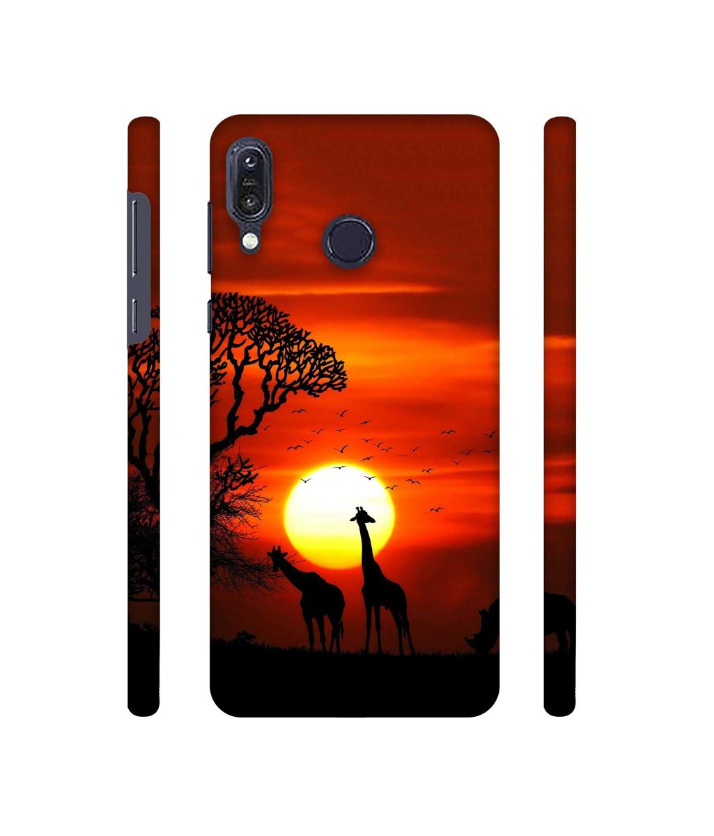 Amazon Brand - Solimo Designer Sunshade 3D Printed Hard Back Case Mobile Cover for Asus Zenfone Max M1 ZB555KL