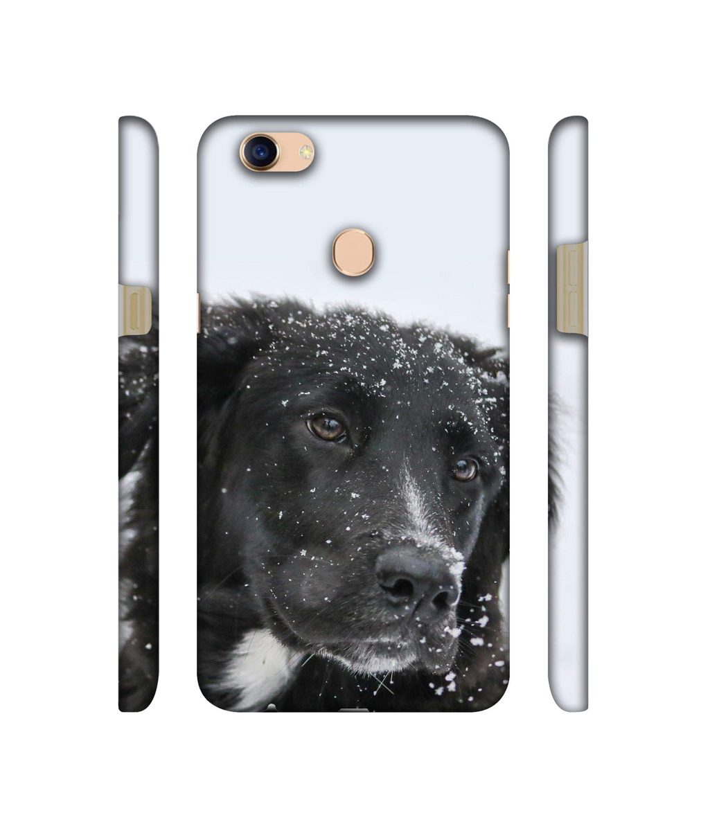 Amazon Brand - Solimo Designer Labrador Dog 3D Printed Hard Back Case Mobile Cover for Oppo F5
