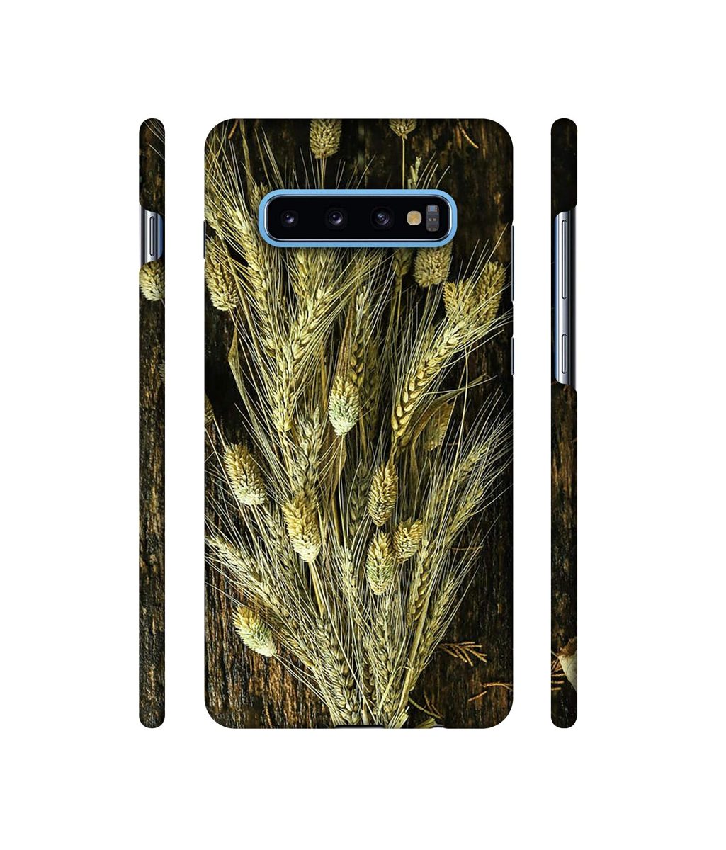 Amazon Brand - Solimo Designer Wheat Plants 3D Printed Hard Back Case Mobile Cover for Samsung Galaxy S10 Plus