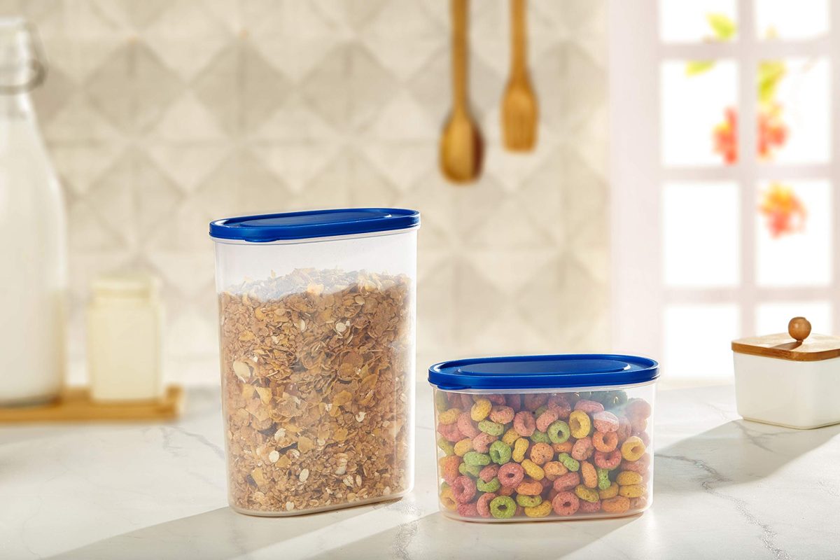 (Renewed) Amazon Brand - Solimo Set of 2 Kitchen Storage Containers (1650ml, 950ml), Blue