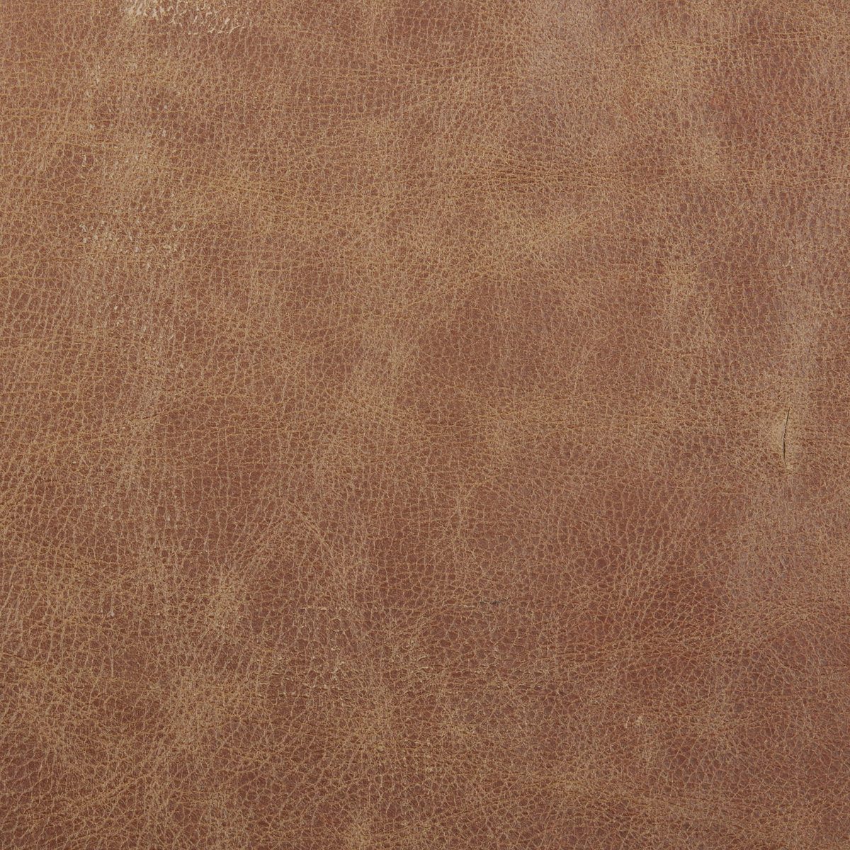 Amazon Brand – Stone & Beam Shorebrook Deep Leather Accent Chair, 27.6"W, Cognac