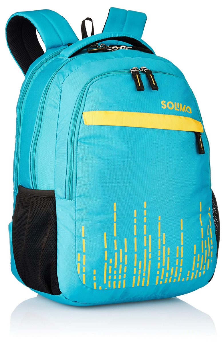 Amazon Brand - Solimo Trellis Laptop Backpack for 15.6-inch Laptops (31 litres,Turquoise)