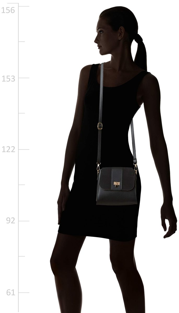 Flavia Women's Handbag (Black)
