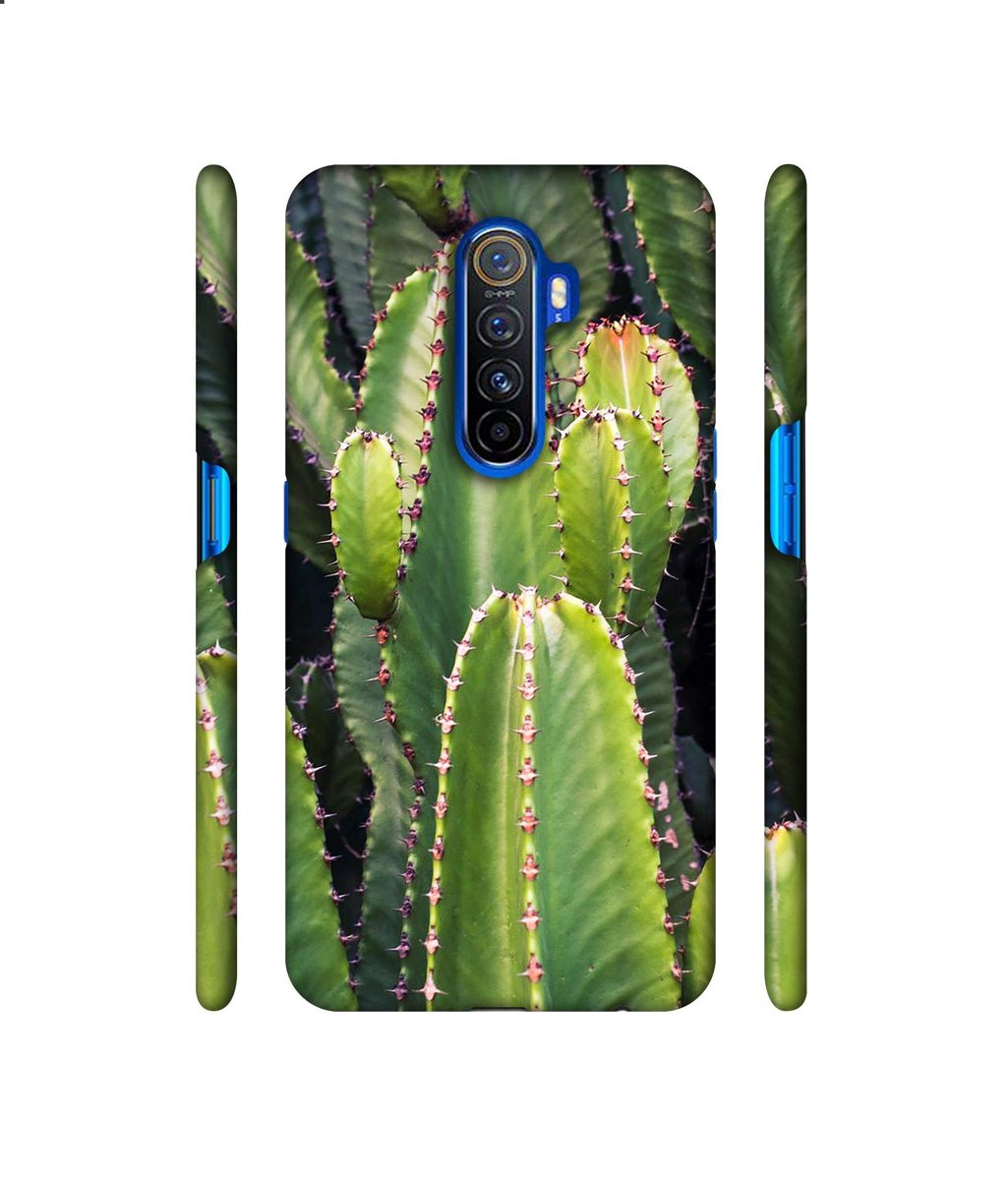 Amazon Brand - Solimo Designer Desert Plant 3D Printed Hard Back Case Mobile Cover for Oppo Reno Ace/Realme X2 Pro