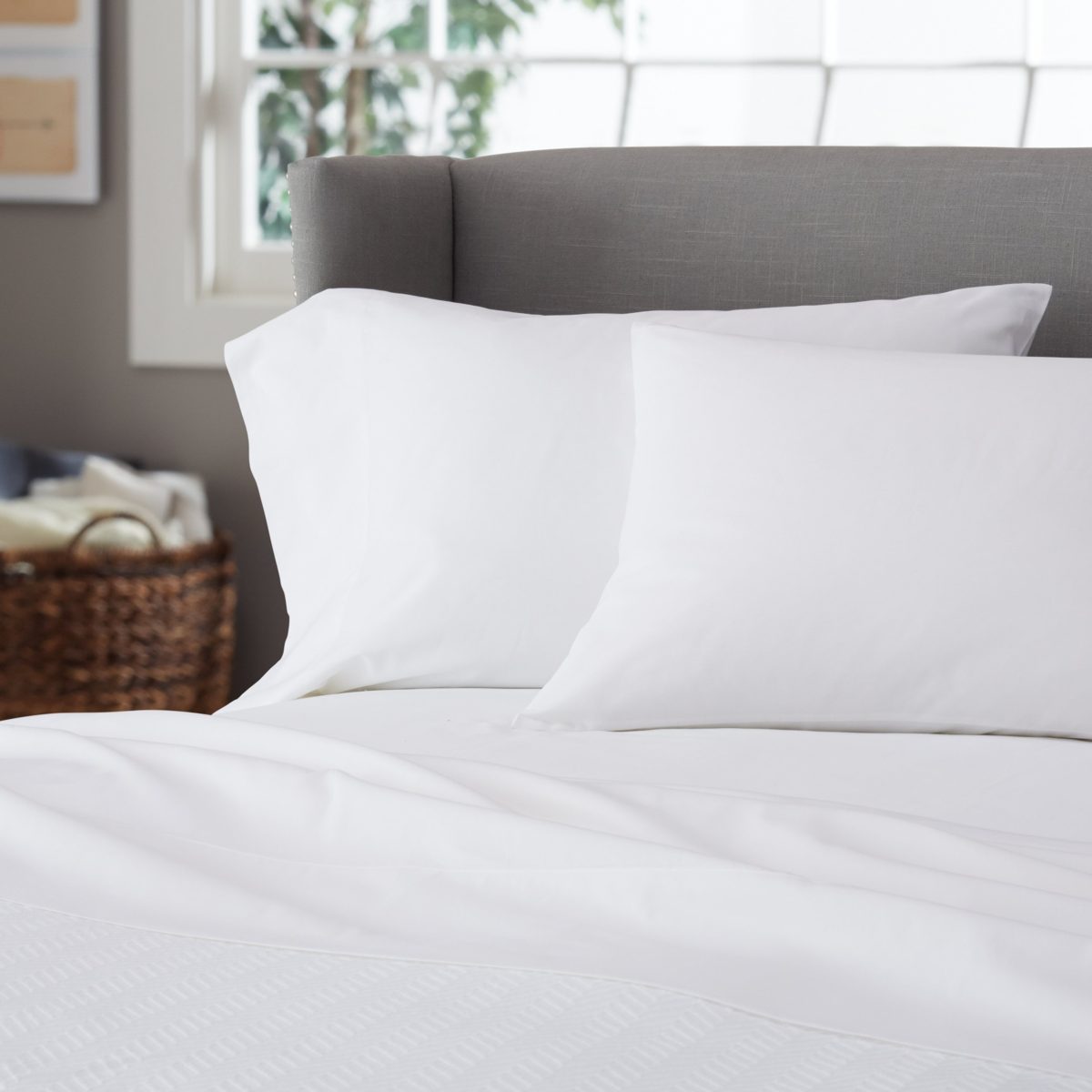 Pinzon Ultrasoft 300 Percale Cotton Fitted Sheet, Sky Blue