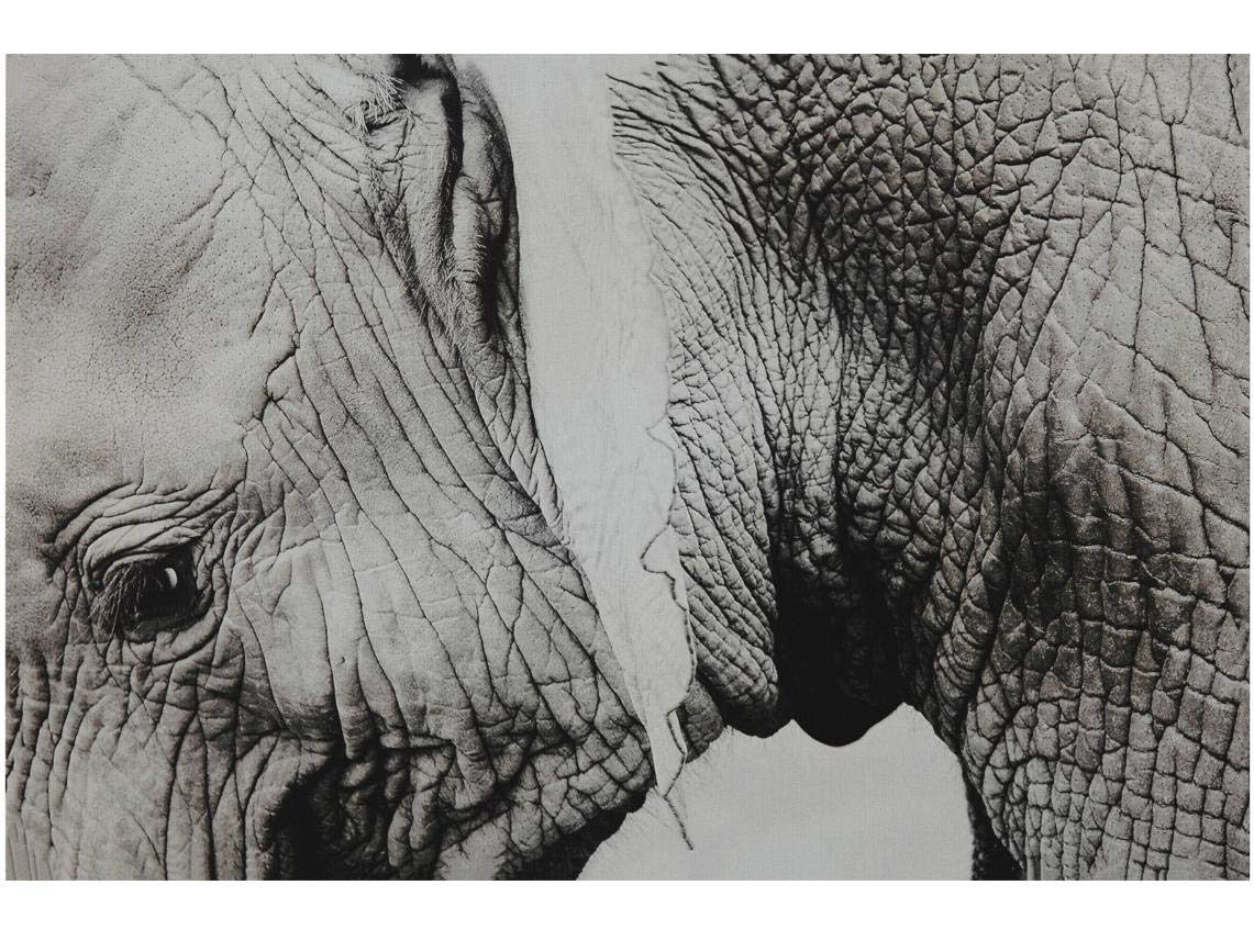 Amazon Brand – Rivet Up Close Black and White Elephant Photo Canvas Print Wall Art Decor, 36" x 24"