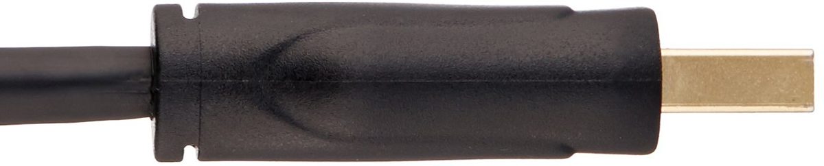 AmazonBasics DisplayPort to DisplayPort Cable - 6 Feet