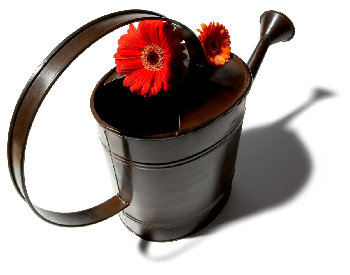Strathwood Watering Can with Antique Bronze Finish