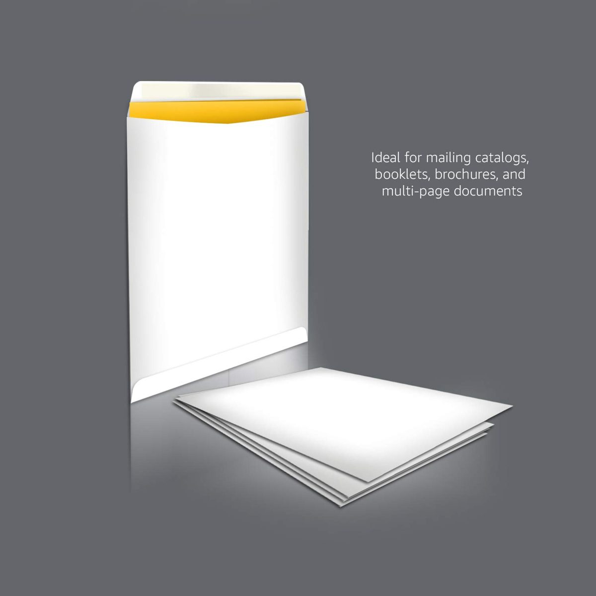 AmazonBasics Catalog Mailing Envelopes, Peel & Seal, 9x12 Inch, White, 100-Pack - AMZP15