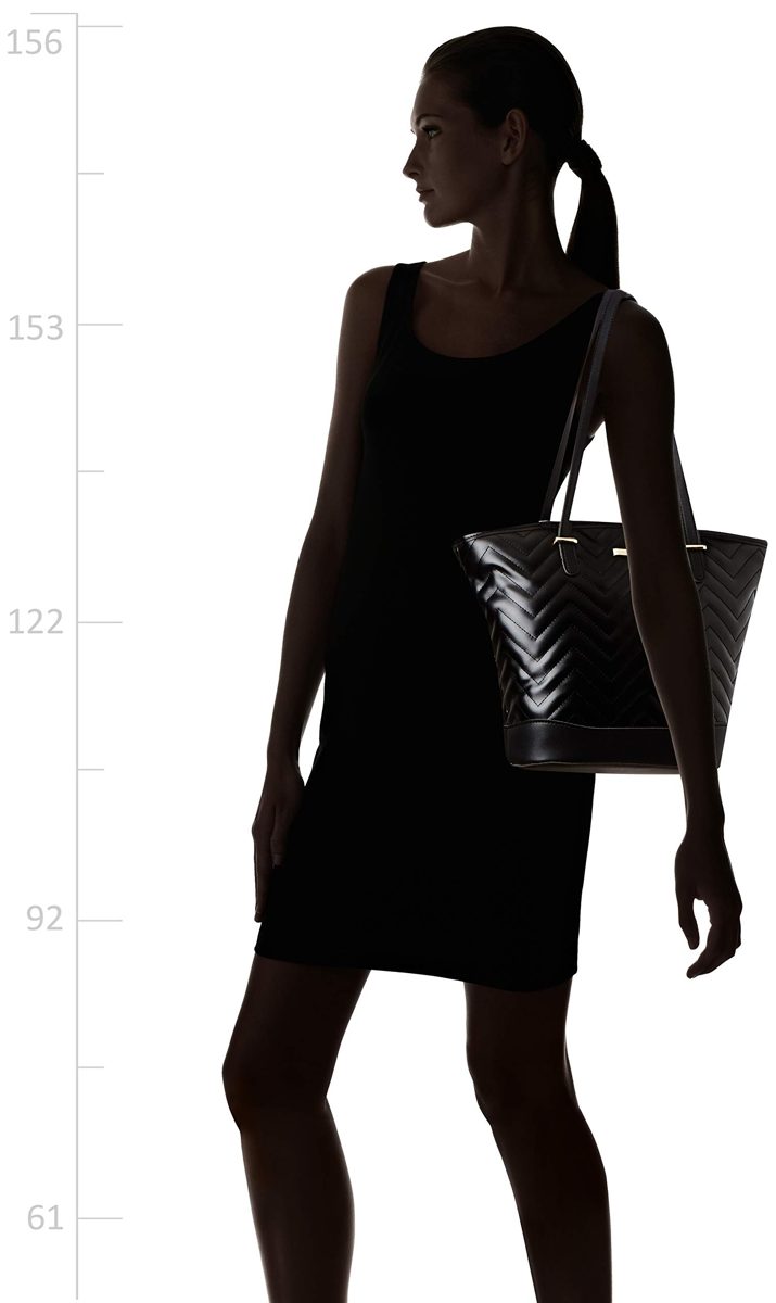 Flavia Women's Handbag (Black)